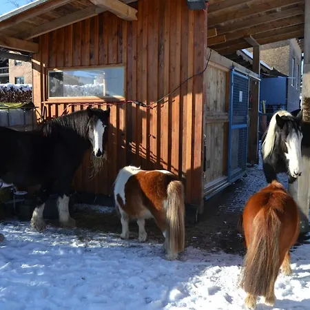 Ferien Bei Freunden Im Holzhaus Lägenhet *