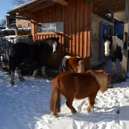 Daire Ferien Bei Freunden Im Holzhaus