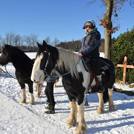 Ferien Bei Freunden Im Holzhaus *