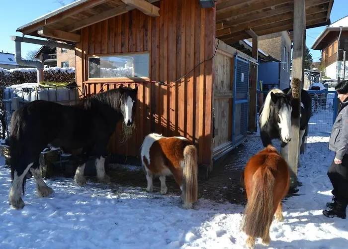 Ferien Bei Freunden Im Holzhaus דירה *