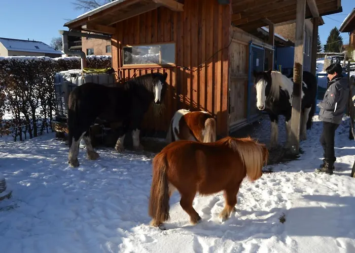 Lägenhet Ferien Bei Freunden Im Holzhaus